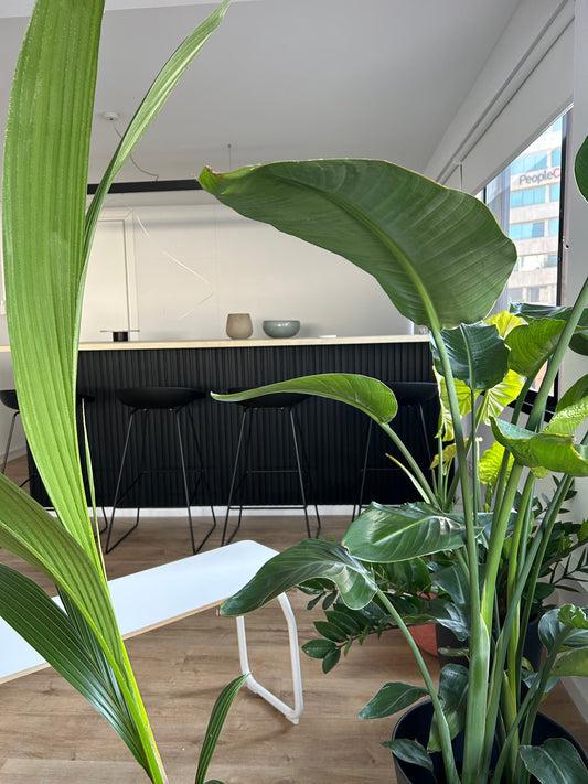 Unique Conference Table